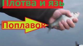 Ссылка