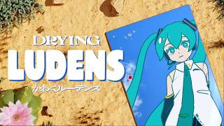 かわくルーデンス / 初音ミク、濁茶