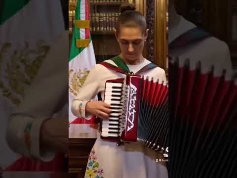 Puros corridos 😛 #corridos #ai #claudiasheinbaum #mexico #acordeon
