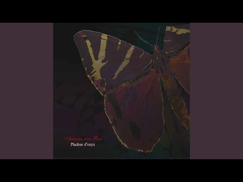 Sussurro melodioso…