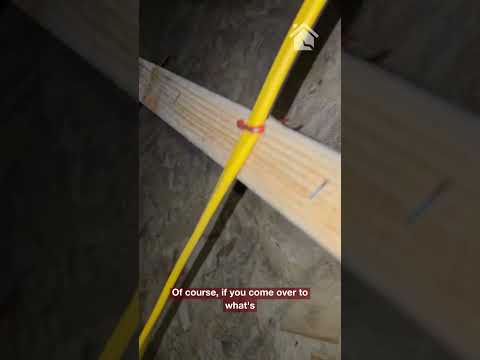 LRE Crawl Space Inspection | Termite Damage | Deltona, FL