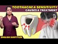 வீடியோக்கள் 38 Video thumbnail