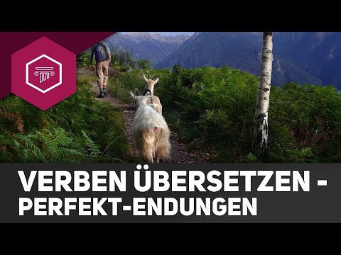 Vorgehen bei der Übersetzung von Verben mit Perfekt-Endungen