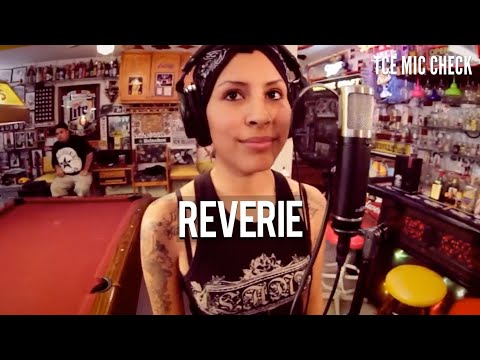 Reverie - Yesterday | TCE MIC CHECK