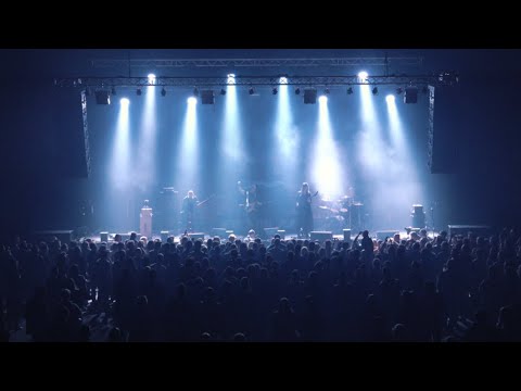Bodzis - Dylematy (live)