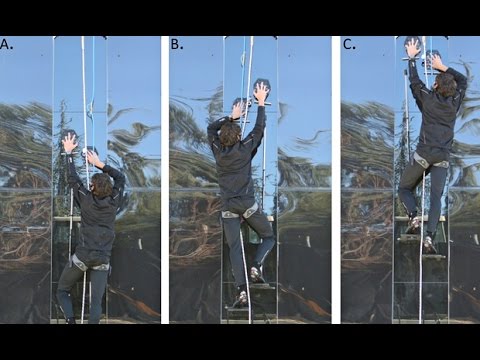 Geckos inspire scientists in US military-developed Spider-Man suit project