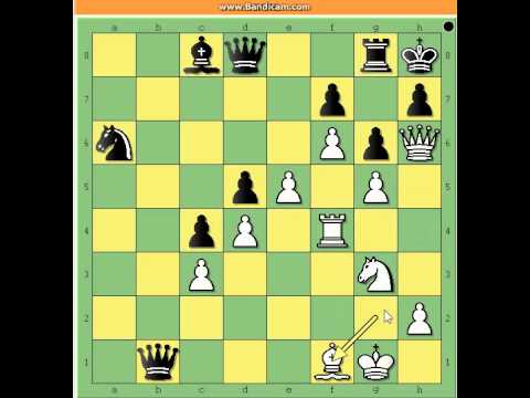Mečevi šampiona  - ANAND vs CARLSEN - 9 ta partija INDIJA 2013   # 277
