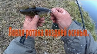 Ловля ротана в октябре на спиннинг