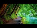 Softly and Tenderly (Jim Hendricks, Piano)