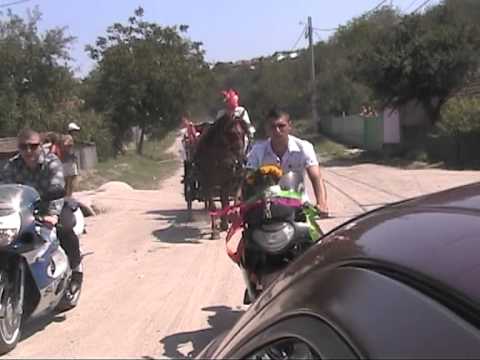 Logodna la Cerneti - Nicu si Cristina - part.1