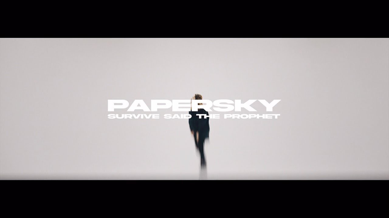 Papersky / Survive Said The Prophet