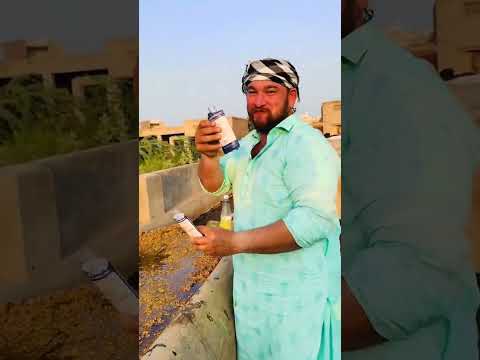 Mashallah Beautiful cow Feeding Mashallah ♥️🥀 #cow #trustonallah #qurbanvlogs