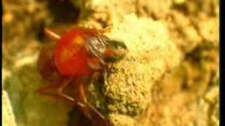 For atheists who disown their Creator because of being unable to see. And uses the "evil-lotion" to ignore the facts. Thes...