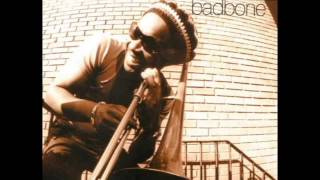 Dennis Rollins' Badbone & Co - The Funky Funk
