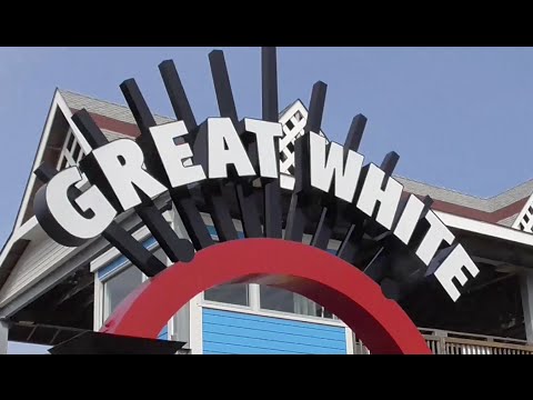 Video review of Great White by Coaster Studios