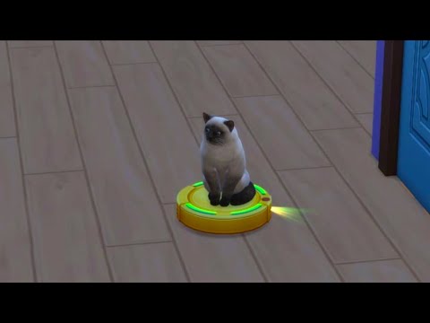 THE SIM4 ' CAT