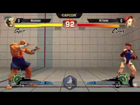 [EVO 2014 USFIV] Winchester (Sagat) vs RG Flocker (Cammy)
