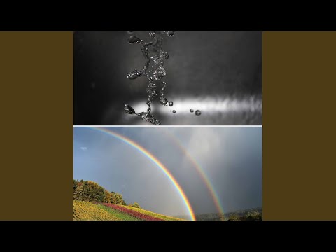 Opulent Ambience for Rainy Day Moods