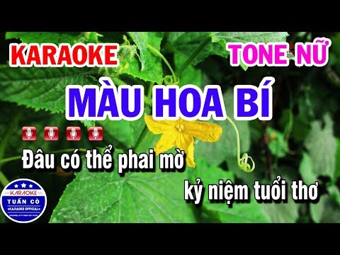 Karaoke Màu Hoa Bí Tone Nữ Em | Nhạc Sống Tuấn Cò