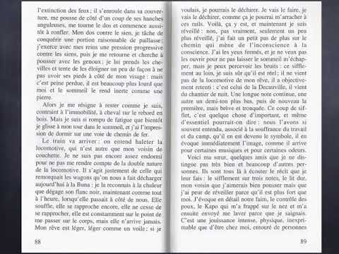 Chapitre 5 - Nos nuits