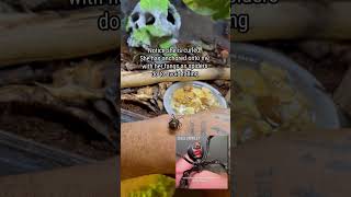 My southern black widow bit me