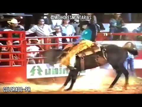 VALMIR NONATO X PANTERA NEGRA - RODEIO DE COLORADO - PR #shorts #rodeio #rodeo #horseriding