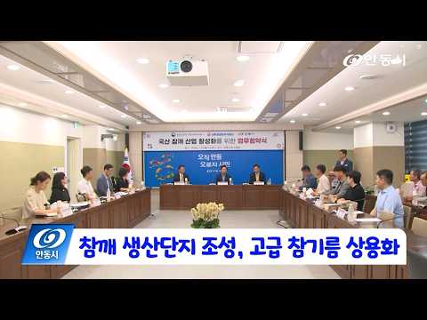 [안동 현장 리포트] 7월 27일, 참깨 생산단지 조성 고급 참기름 상용화