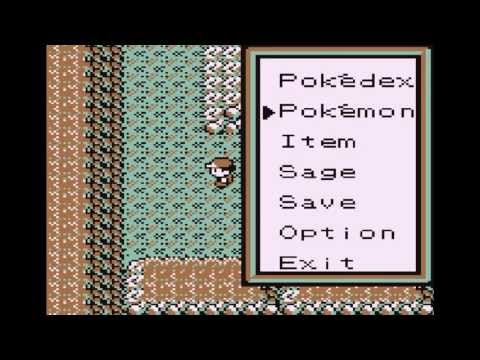 Let's Play Pokemon Brown: Part 3 - WILD POKEMON! GRRRR!