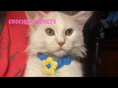 Crochet cat collar with flower  pet collar crochet