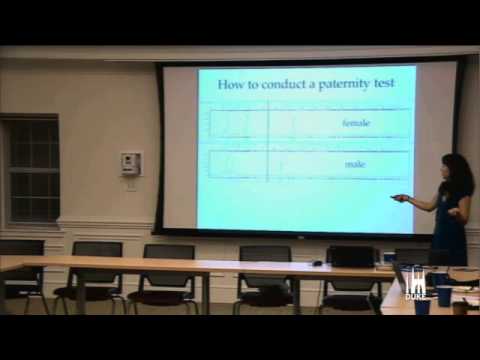 Molecular Causes and Consequences of Sperm Competition in Agelaius Blackbirds