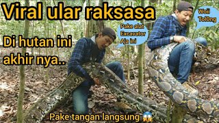 Download lagu A GIANT PYTHON SNAKE WENT VIRAL AND FINALLY RELEASED HERE mp3 Download lagu A GIANT PYTHON SNAKE WENT VIRAL AND FINALLY RELEASED HERE mp3