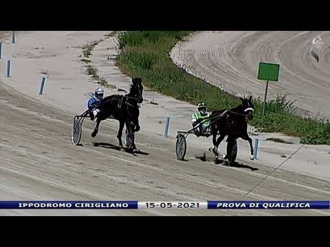 Aversa trotto 15 Maggio 2021 - Prova di qualifica