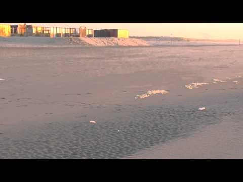 22/03/14 beach Delfland - 's Gravenzande