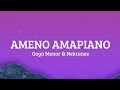 Goya Menor & Nektunez - Ameno Amapiano (REMIX) (Lyrics)