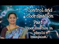 Class10 Control And Coordination Part 5 Coordination In Plants Malayalam