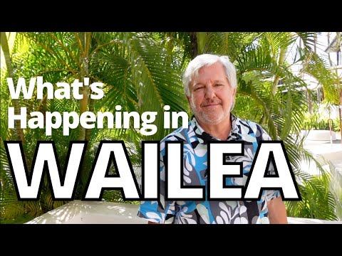 Atualização de lojas em Wailea - além de erros de gravação bônus!