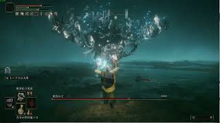 エルデンリング EldenRing 祖霊の王 薙ぎ払う黒炎 ヘッドショット 【PC】