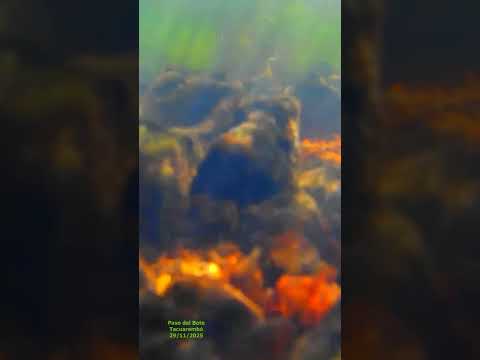 Bajo el agua en Paso del Bote, Tacuarembó (29/11/2025)