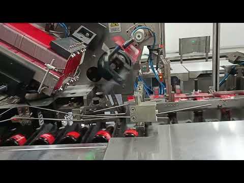 packing cartonator machine