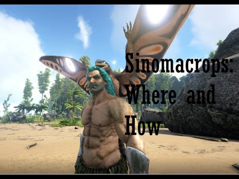 How to tame a Sinomacrops and Where they spawn [ARK: Survival Evolved]