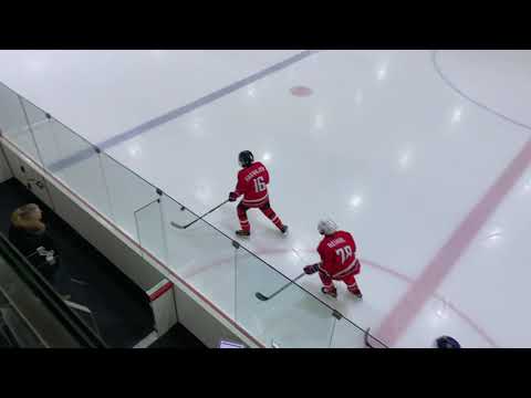 HC VIPERS 08 3 : 3 HK TORNAADO