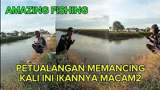 THIS PLACE HAS MANY DANGEROUS MONSTER FISH ‼️