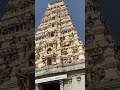 Male Mahadeshwara Betta Travel Vlog