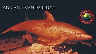 Fine art tips on How to Sculpt in Marble and Wood with Adriaan Vanderlugt on Colour In Your Life