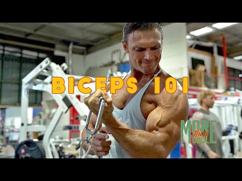 Biceps 101: The Fundamentals of Bicep Training
