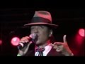 THE SELECTER - Bristol and Miami  ( live )