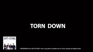Torn Down Music Video