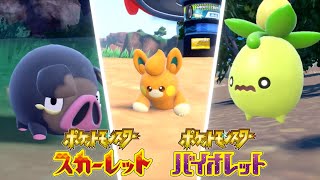 トレーナーズスクール26年生がポケットモンスター スカーレット・バイオレット2nd Trailerを見たようです。