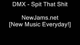DMX - Spit That Shit (NEW 2009)