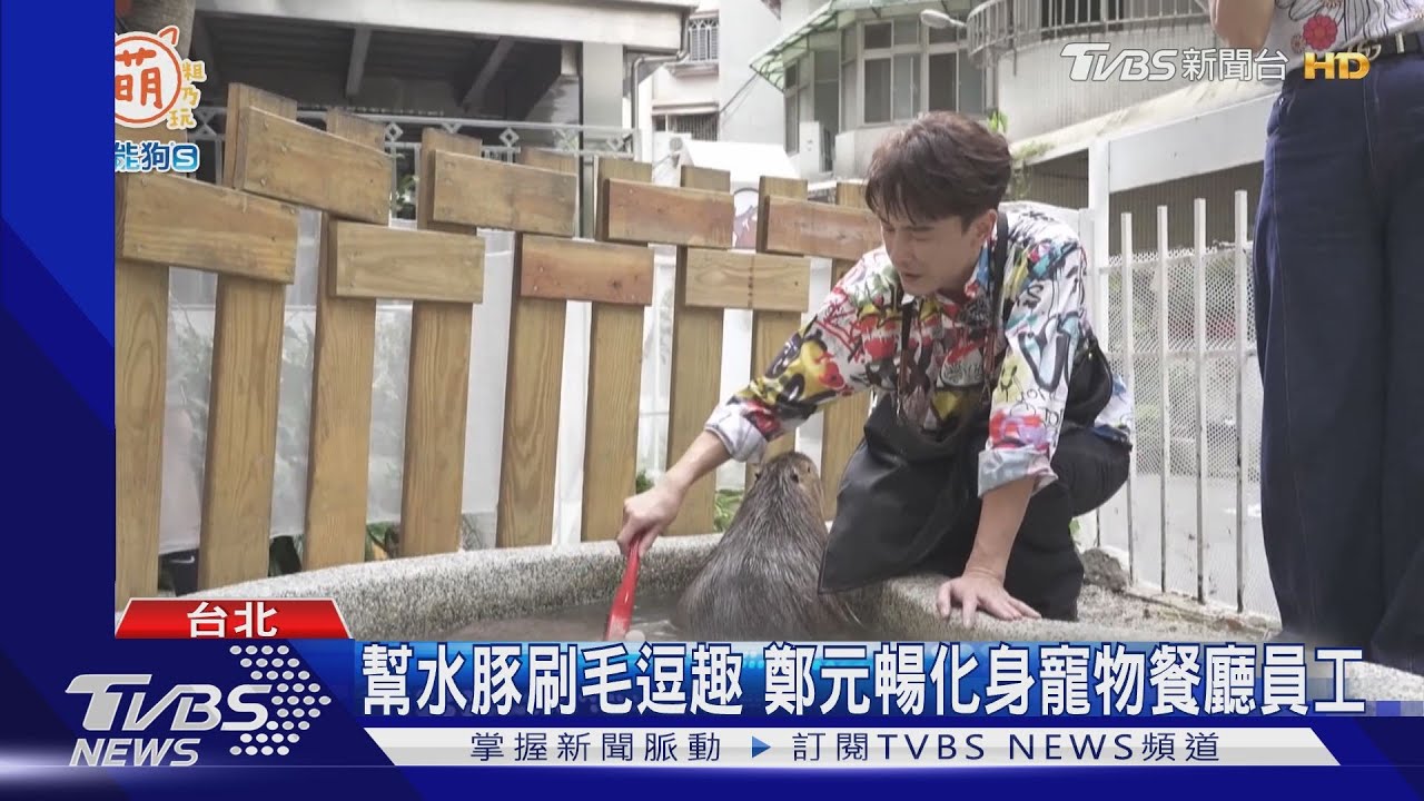 鄭元暢、方志友登《萌寵明星粗乃玩》 吳姍儒生日願望送給好友